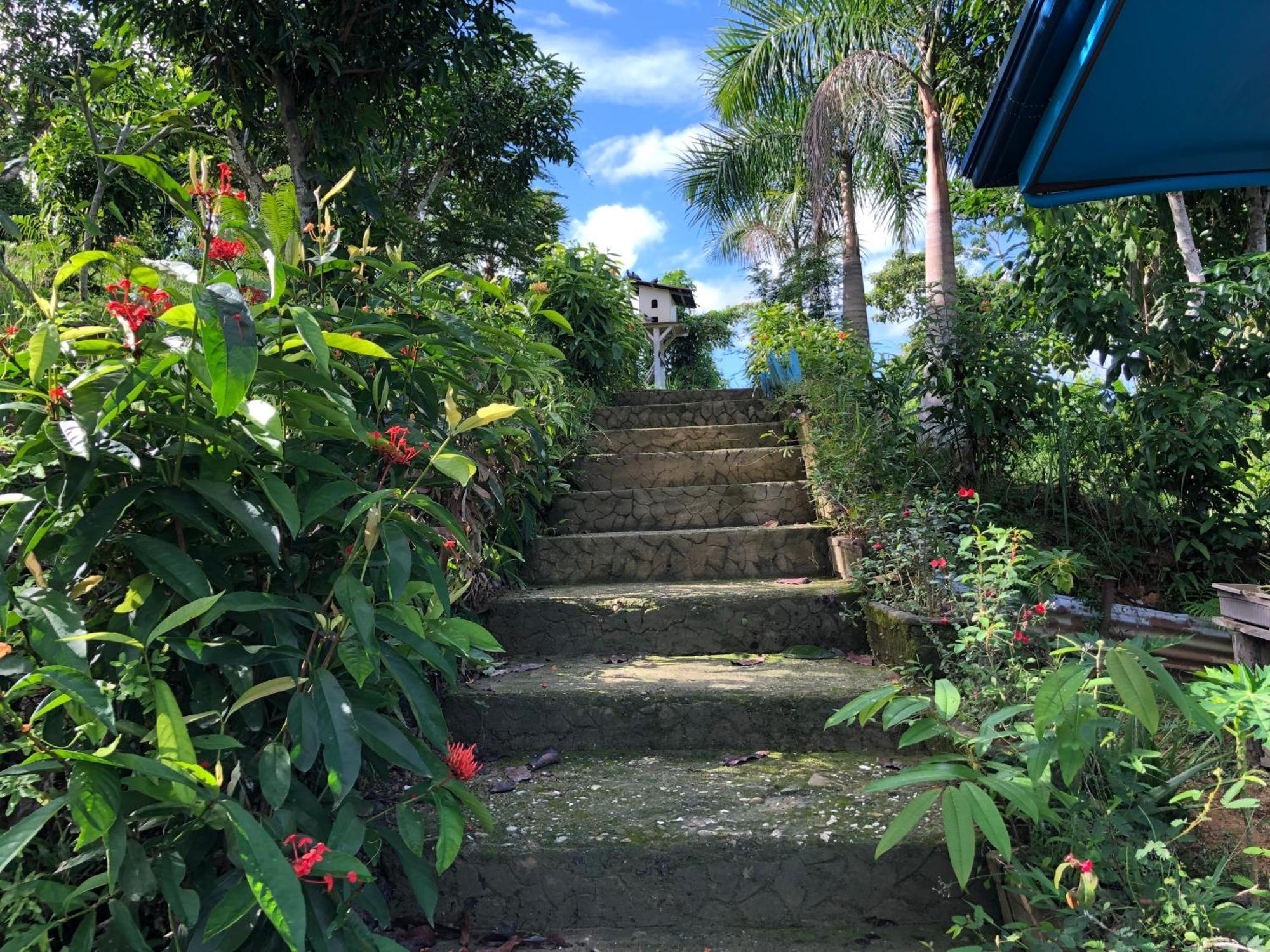 Santa Claus Hilltop ซาน วิเซนเต ภายนอก รูปภาพ